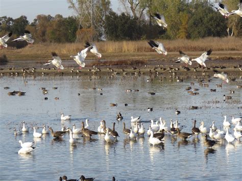 City of Colusa