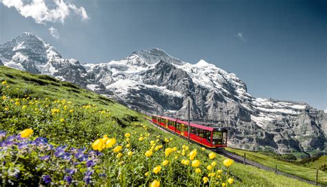 Jungfraujoch – Kleine Scheidegg / Berner Oberland Pass