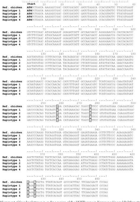 Genetic Diversity of the Structure of HSP70 Gene in Kampung Unggul Balitbangtan (KUB), Walik ...