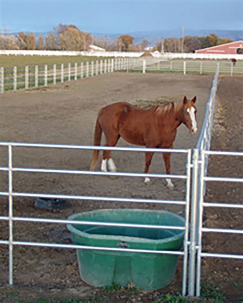 Noble Galvanized Panel, 12 Ft. | Coastal | Horse fencing, Horse pens, Horses