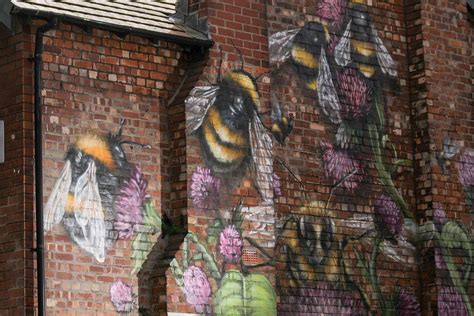 In pictures: Manchester bee mural tribute to arena victims ...