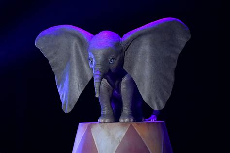 Here's Your First Look at DUMBO in Tim Burton's Live-Action Adaptation ...