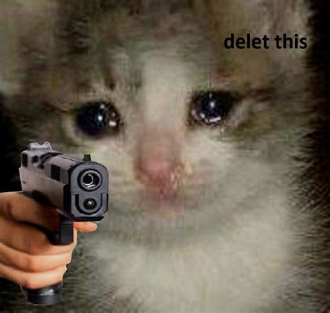 Crying cat with gun Blank Template - Imgflip