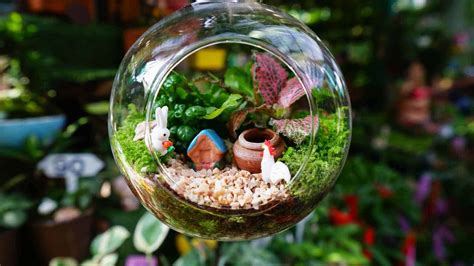 35 Best Terrarium Plants for a Lovely Indoor Garden of Any Size