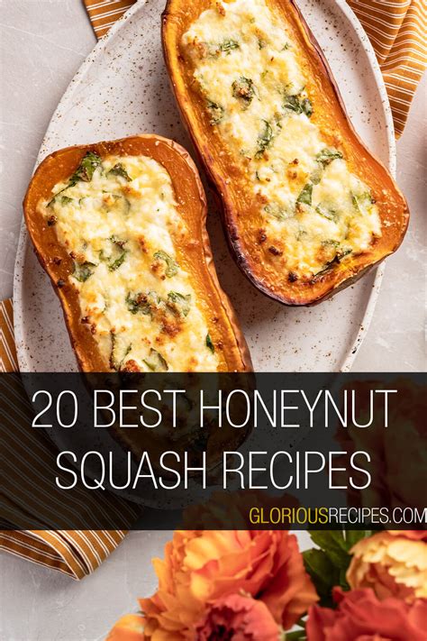 20 Best Honeynut Squash Recipes