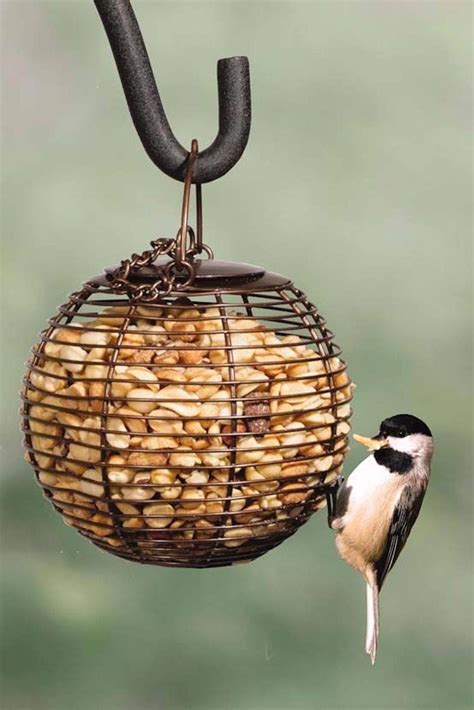 Bird feeders #birdhouseideas | Bird feeders, Peanut bird feeder, Wild ...