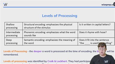 Levels of Processing - Wize University Psychology Textbook | Wizeprep