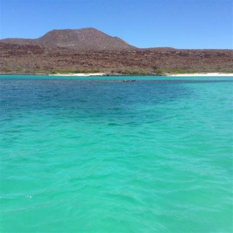 Loreto Bay National Marine Park (Mexico): Top Tips Before You Go ...