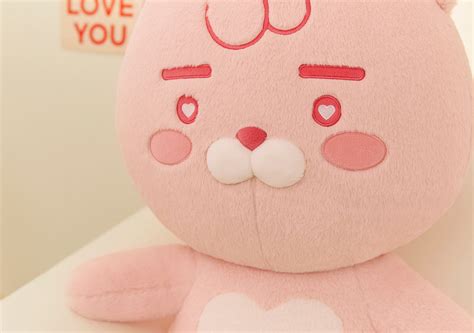 [KAKAO FRIENDS] - Pink Edition Soft Plush Toy Ryan OFFICIAL MD – HISWAN