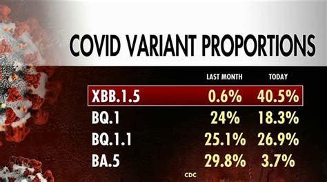 The new omicron subvariant XBB.1.5: What you must know now | Fox News