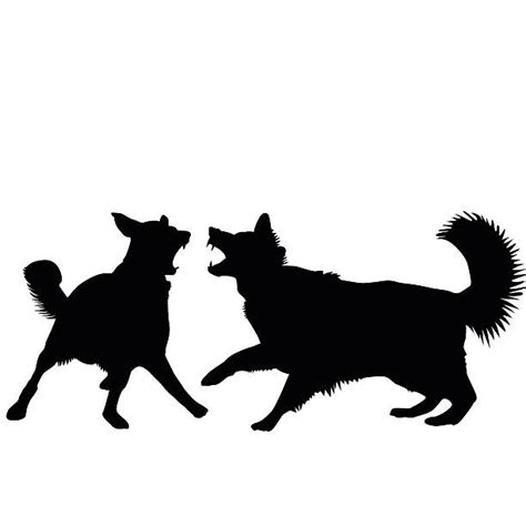 1,200+ Dogs Fighting Stock Illustrations, Royalty-Free Vector Graphics ...