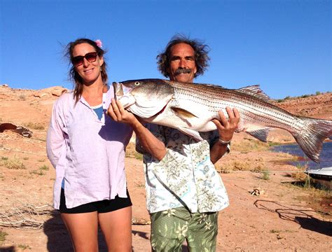 Lake Powell Fishing Report by Wayne Gustaveson 6-17-14 | Ambassador ...