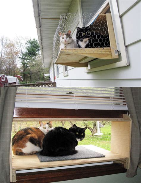 Cat window! | Cat window, Cat diy, Cats diy projects