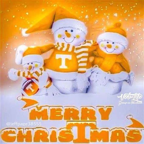 Merry christmas from the Tennessee nation | Tennessee christmas ...