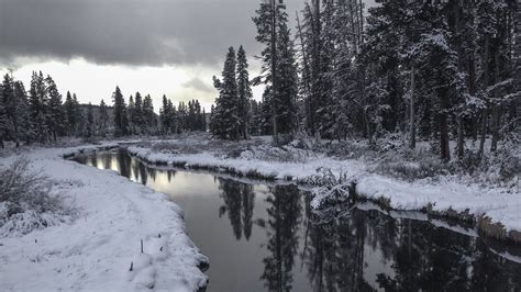 Hintergrundbilder : Bäume, Wald, Betrachtung, Schnee, Winter, Eis, Fluss, USA, Yellowstone ...