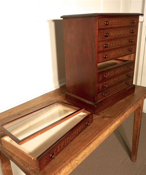 Museum Cabinet, Natural History Collectors Cabinet - Antiques Atlas