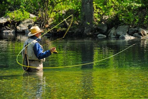 Fly Fishing - Basics, Knots and Techniques