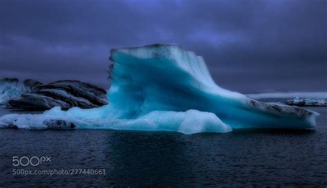 calving glaciers Icebergs drift away from the calving glacier at Jokulsárlón Iceland ...