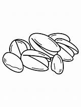 Nuts coloring Pages sketch template