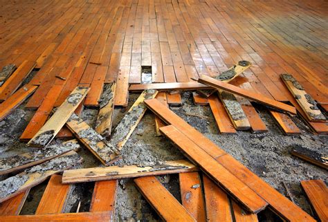 How to Repair a Water Damaged Wood Floor - WoodFloorDoctor.com