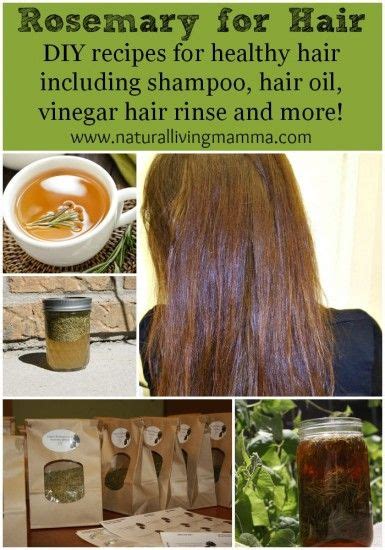 rosemary water for hair before and after - Julieann Tilley