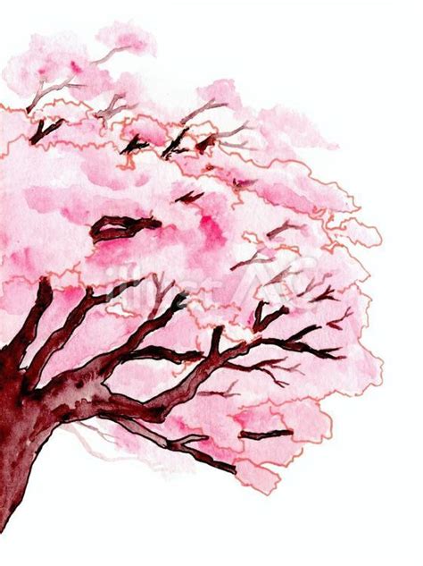 Free Vectors | Cherry tree watercolor