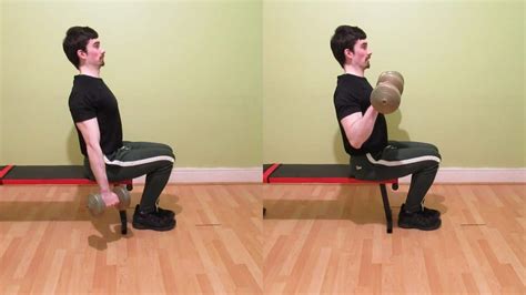 Seated Reverse Dumbbell Curl: Full Tutorial