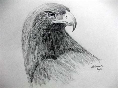 SRIMANT'S SKETCHBOOK: The Golden Eagle