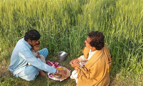 VILLAGE LIFE IN PUNJAB, PAKISTAN 2017 - Karamat Adeel