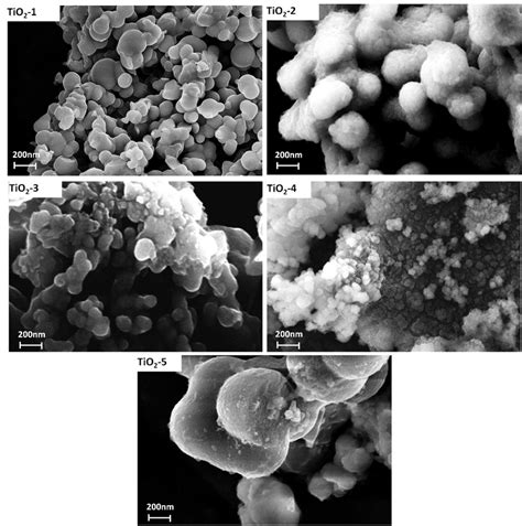 SEM micrograph of all samples. | Download Scientific Diagram