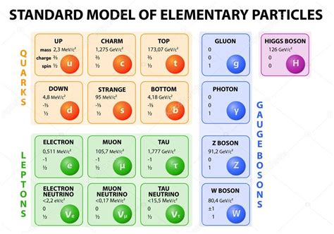 Standard model of elementary particles Stock Vector Image by ©edesignua ...