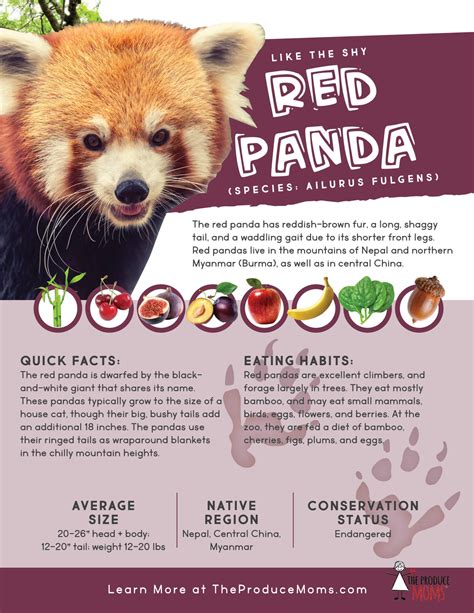 Eat Like a Red Panda: Bamboo & Chicken Ramen - The Produce Moms