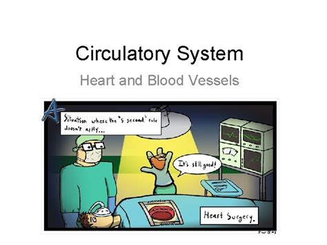 Circulatory System Heart and Blood Vessels Crash Course