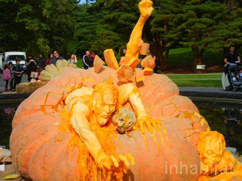 World's Largest Pumpkin 2024 - Marje Shandra