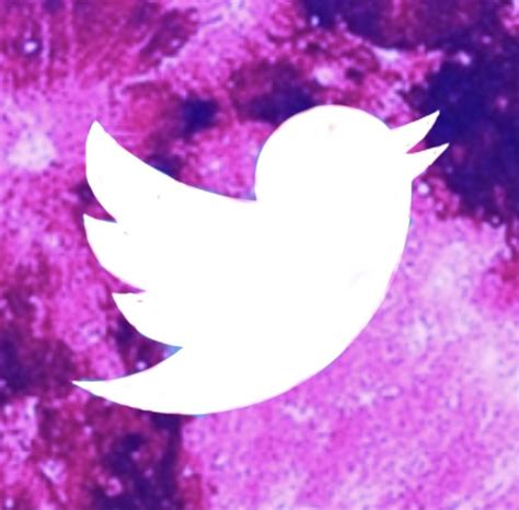 Pink Twitter Icon Aesthetic | Pink twitter, Twitter icon, Pink aesthetic