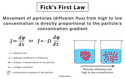 Diffusion: Meaning, Types, Importance in Plants, Animals and Cells