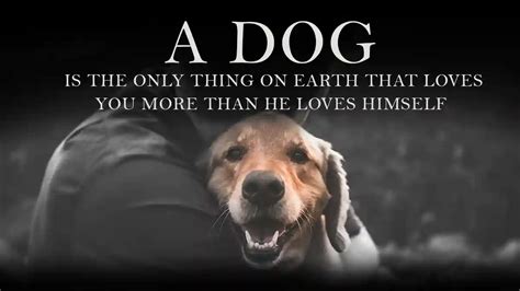 Inspirational Quotes About Dogs