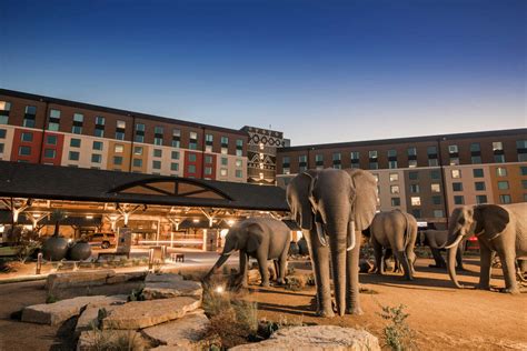 An ultimate guide to Kalahari Resorts in Texas