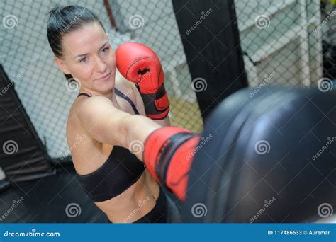 Female boxer in training stock image. Image of front - 117486633