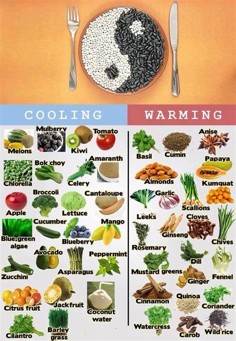 The Yin Yang of healthy food | Food charts, Warm food, Chinese medicine