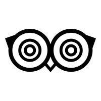 Owl Eyes Icon - Free PNG & SVG 759939 - Noun Project