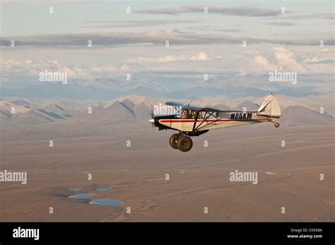 Piper super cub bush plane hi-res stock photography and images - Alamy