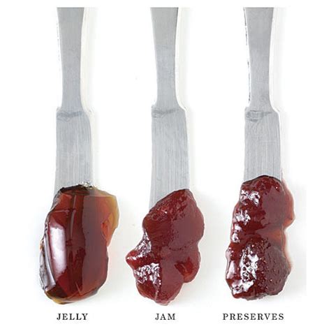 Jelly vs. Jam vs. Preserves - FineCooking