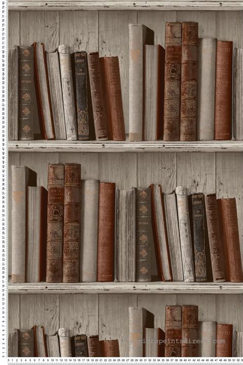 papier peint trompe l oeil bibliotheque - Le specialiste du trompes l'oeil | Feature wall ...