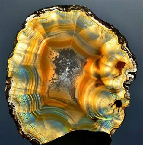 Types of Agate With Photos - Geology In