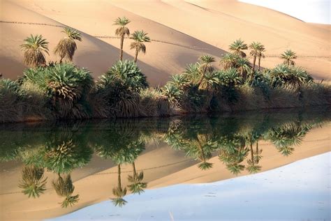 Can A Desert Turn Into A Forest? - WorldAtlas