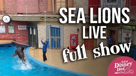 Sea Lions Live Full Show + Biff Pre-Show | SeaWorld San Diego 2021 ...