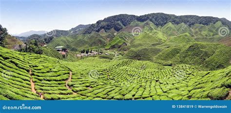 Panoramic farm stock image. Image of harvest, panorama - 13841819