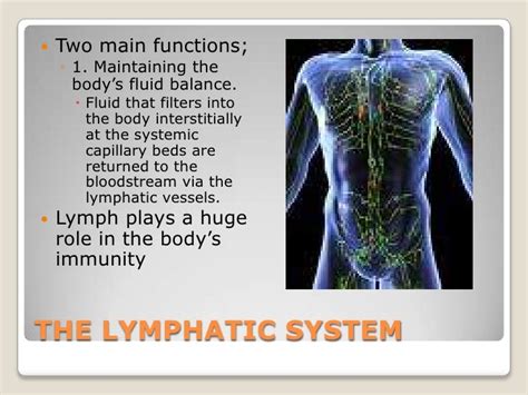 The Lymphatic And Immune System