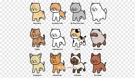 Cat Drawing Illustrator Illustration, A lot of cats, png | PNGWing